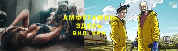 прущие грибы Алексеевка