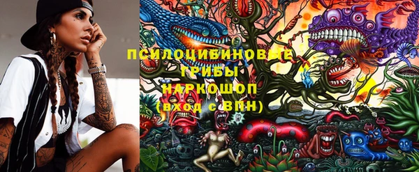 прущие грибы Алексеевка